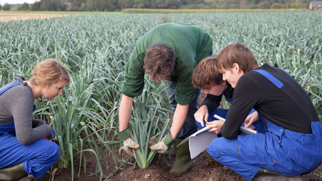 Agriculture Review Program