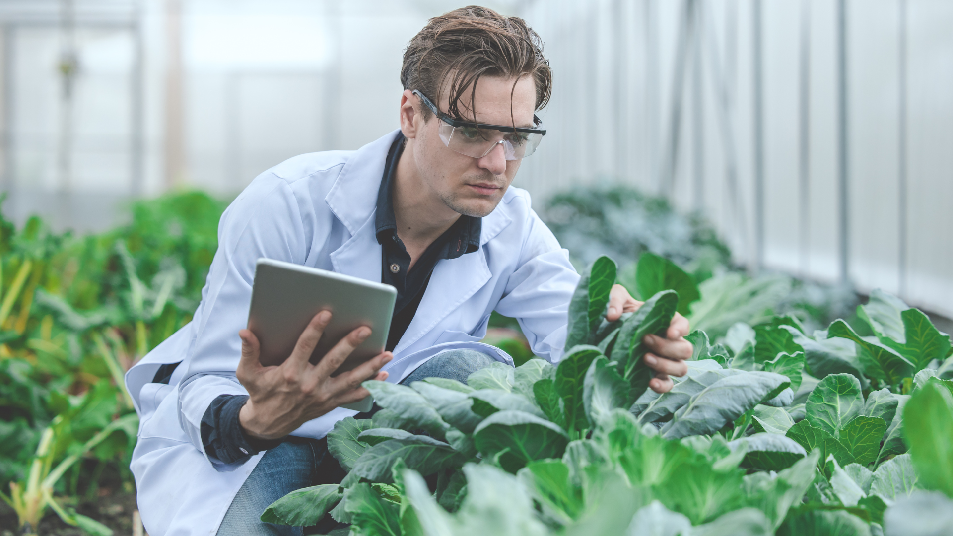 Agriculture Review Program