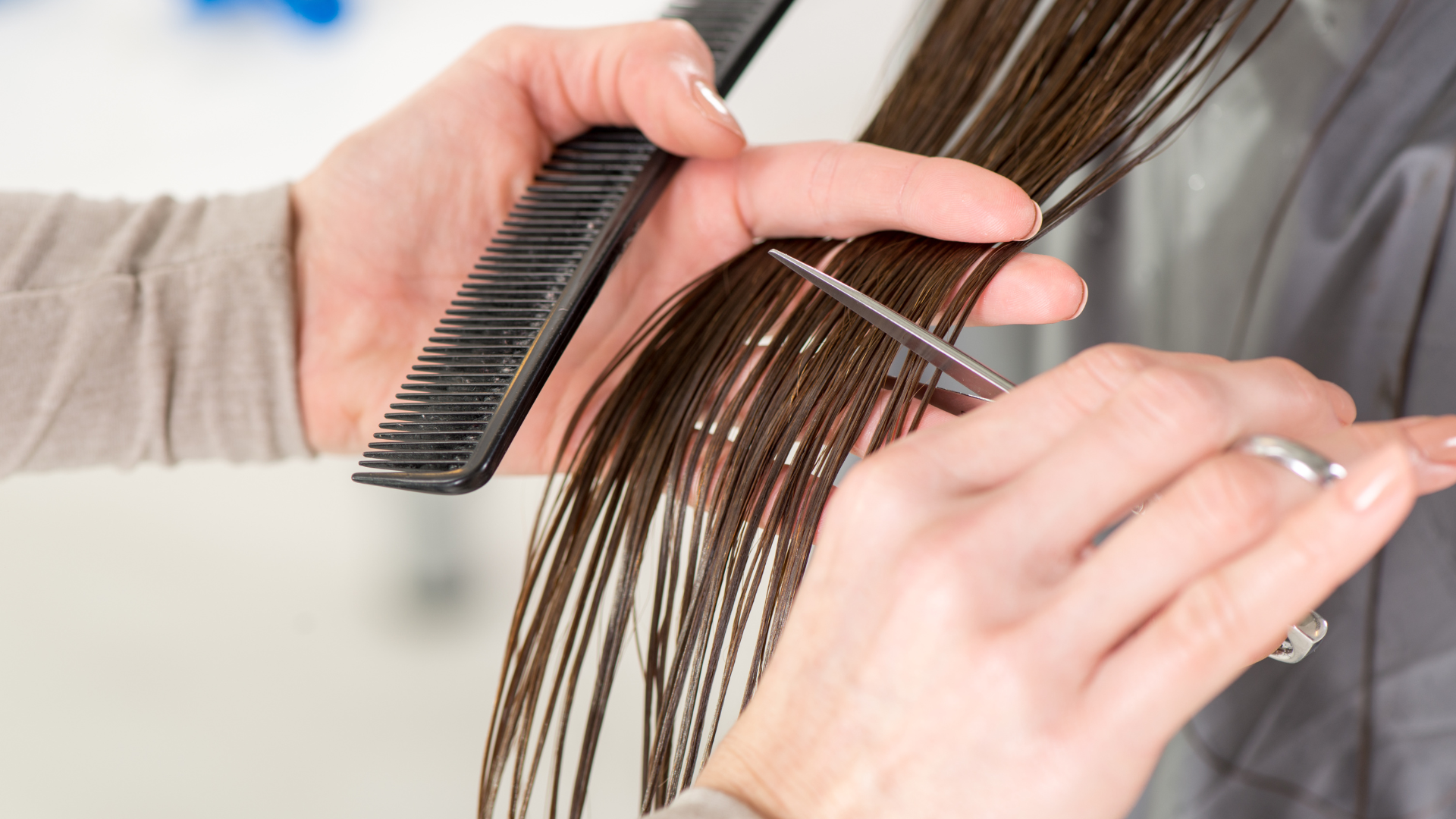 hair stylists review Program