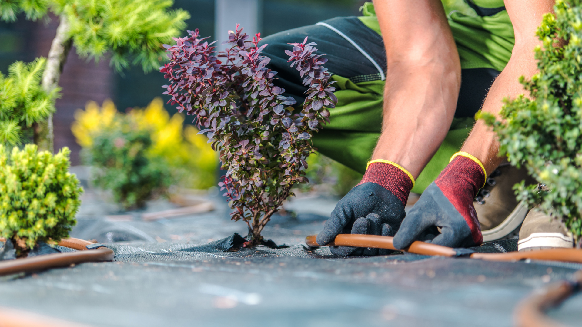Red Seal Landscape Horticulturist Program