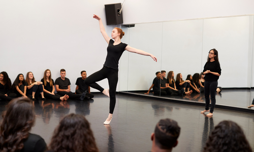 Dance Review Program