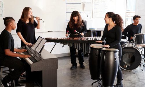 Musical Instruments Review Program